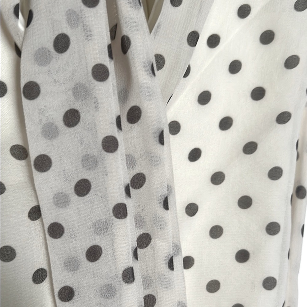 Anthropologie Staci Frati Sweet Pea Polka Dress - Black and Cream size Medium - Picture 8 of 12